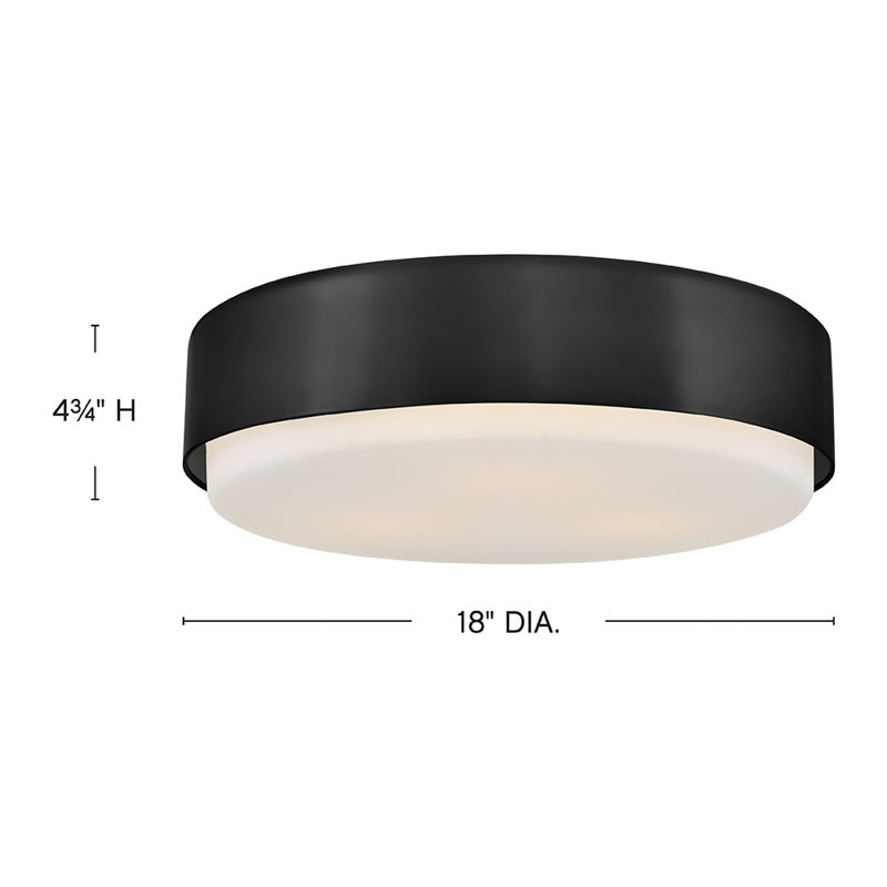 Hinkley Cedric Flush Mount Flat, Black
