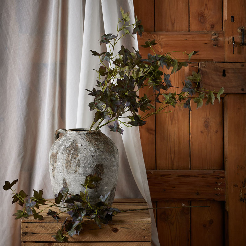 Anastasija Arrangement