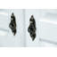 Armoire-penderie 3 portes Anass Kyle-1491357884