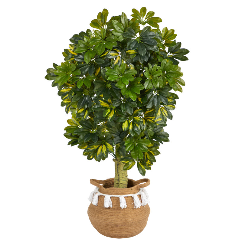 48'' Faux Foliage Tree in Basket