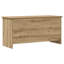 Rectangle Accent Chest-1537903458-1537903459