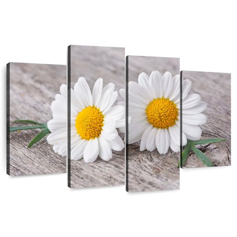 Deux fleurs de camomille Harnek, H 22 po x l 36 po
