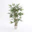 150cm Bamboo Tree in Pot