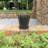 Pansy Ceramic Pot Planter-88134231