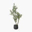 130cm Faux Eucalyptus Tree in Fibrestone Pot-1203865729