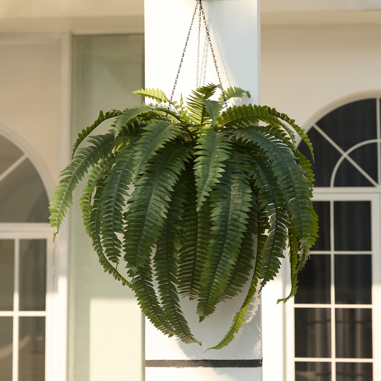Adcock 39" Fern Plant, 1