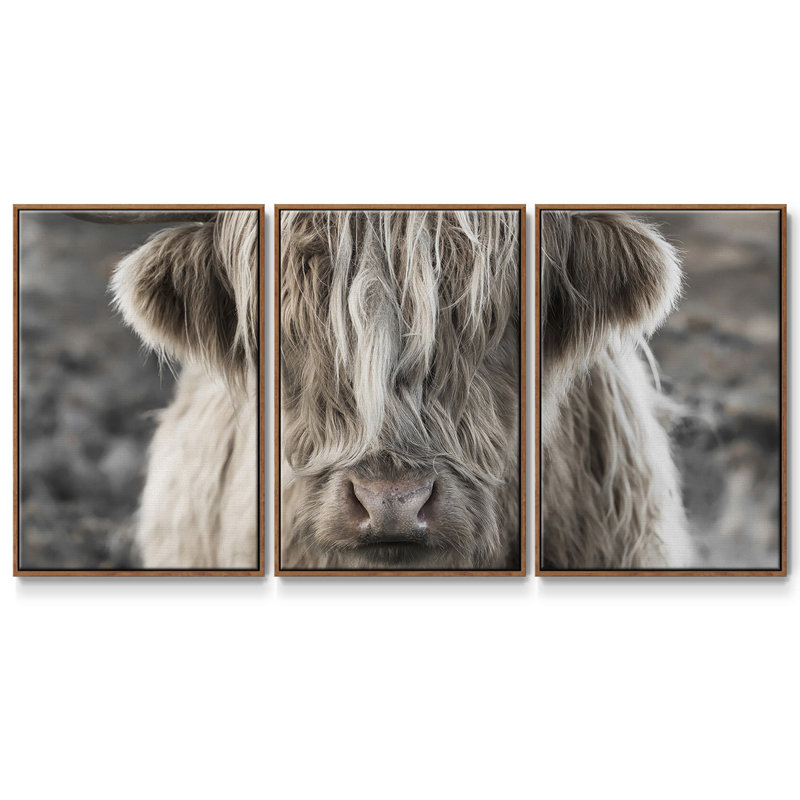 " Highland Skye " 3 - Pieces, 36" H x 75" W x 2" D, Walnut