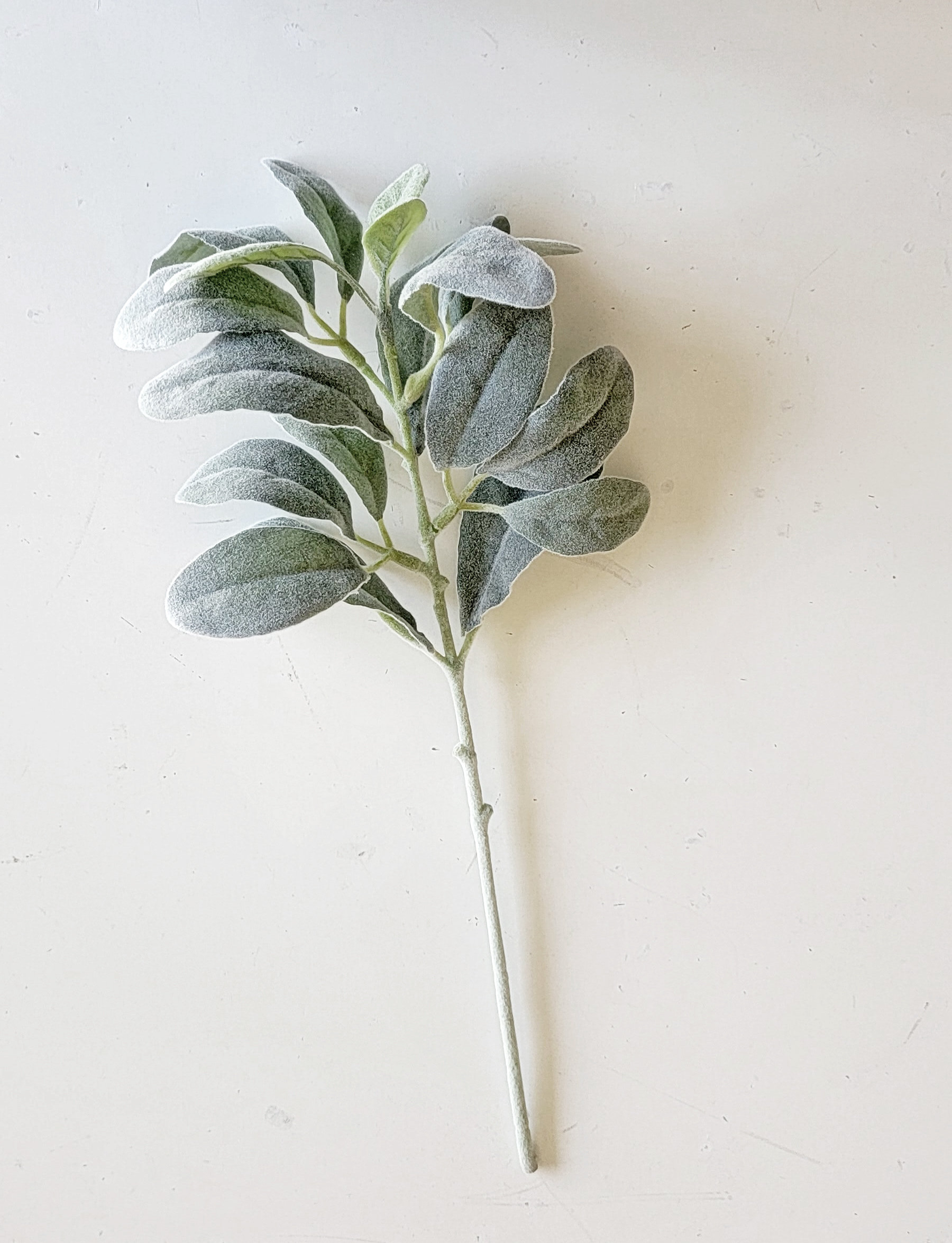 Primrue Lamb's Ear Stems, Bushes, And Sprays Arrangement Wayfair