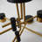 LED Ceiling Light Black Ceiling Light with Remote Modern Ceiling