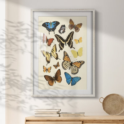 Dougles -Gallery Wrapped Canvas