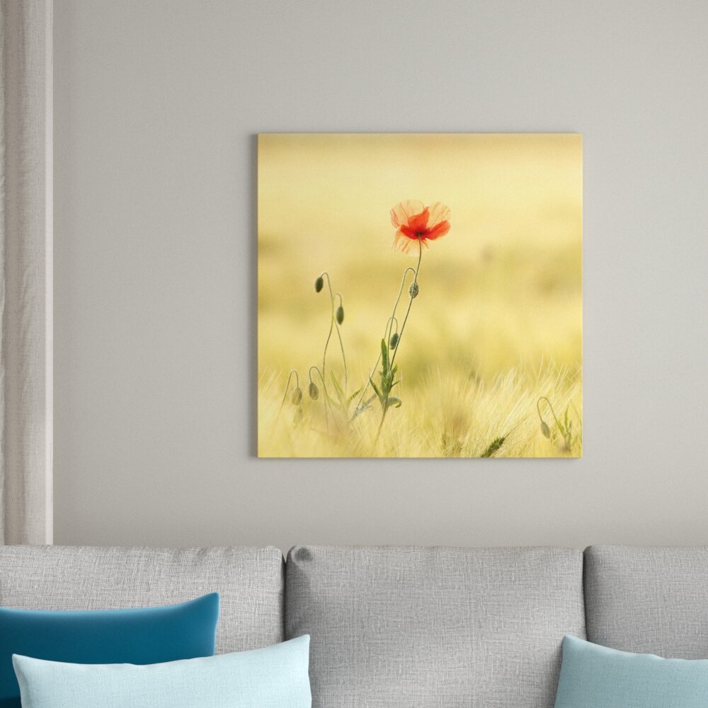 Mohn im Feld Fotodruck auf Leinwand