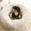 Albury Calming Round Donut Plush Dog Cuddler Bed-1419055499-1419241375