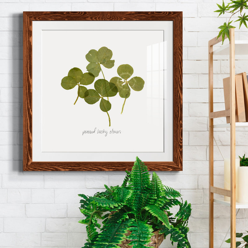 " Pressed Clover I ", Maple, 17" H x 17" W x 1" D, White