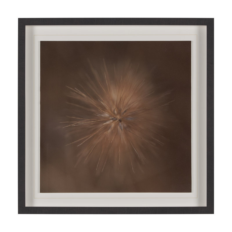 Collection par Stig Kalvelid, reproduction d'art encadrée à la main, emmêlée sous le verre, Curious
