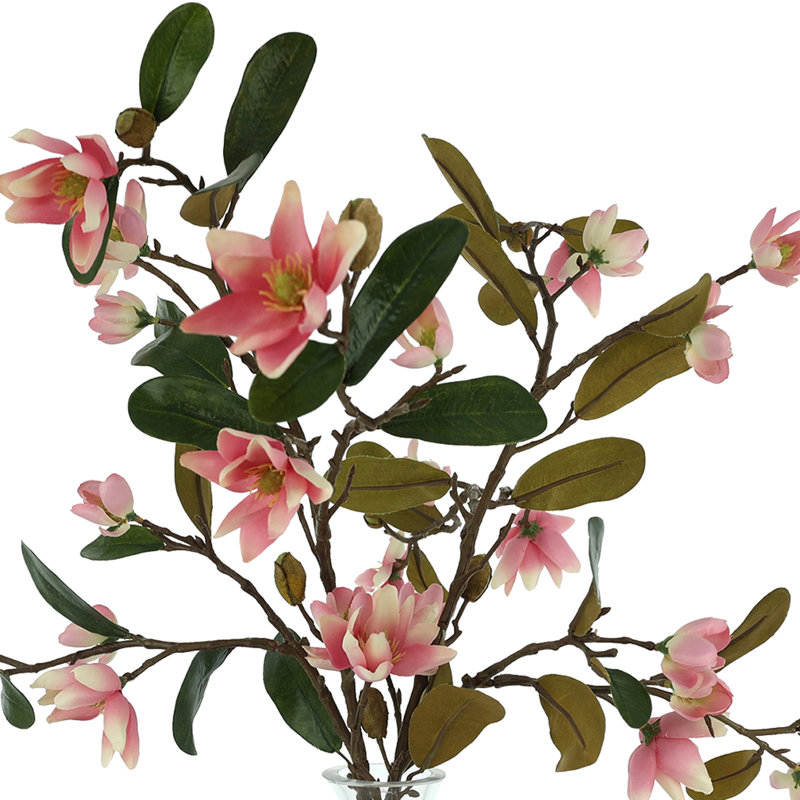 Organic Modern Magnolias in Glass Vase