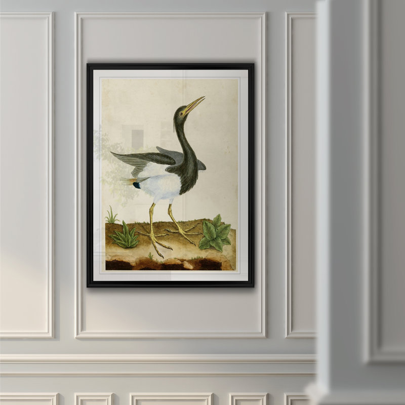 « héron portrait v », reproduction sur toile, H 26,5 po x l 36,5 po x P 1,5 po, Noir