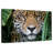 Brampt Amazon Jungle Jaguar-107720435