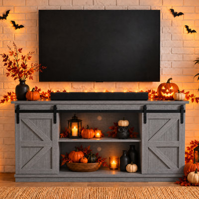 Hartin 58''W TV Stand with Sliding Barn Doors for TVs up to 65"