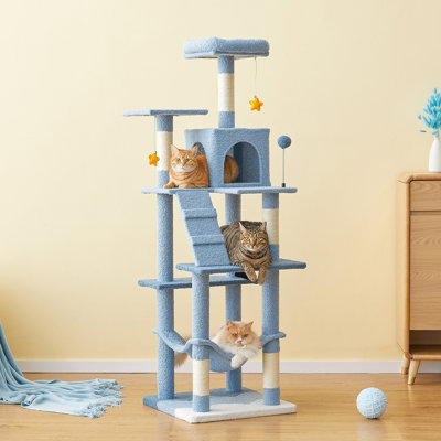 Grand condo 64 "pour chat