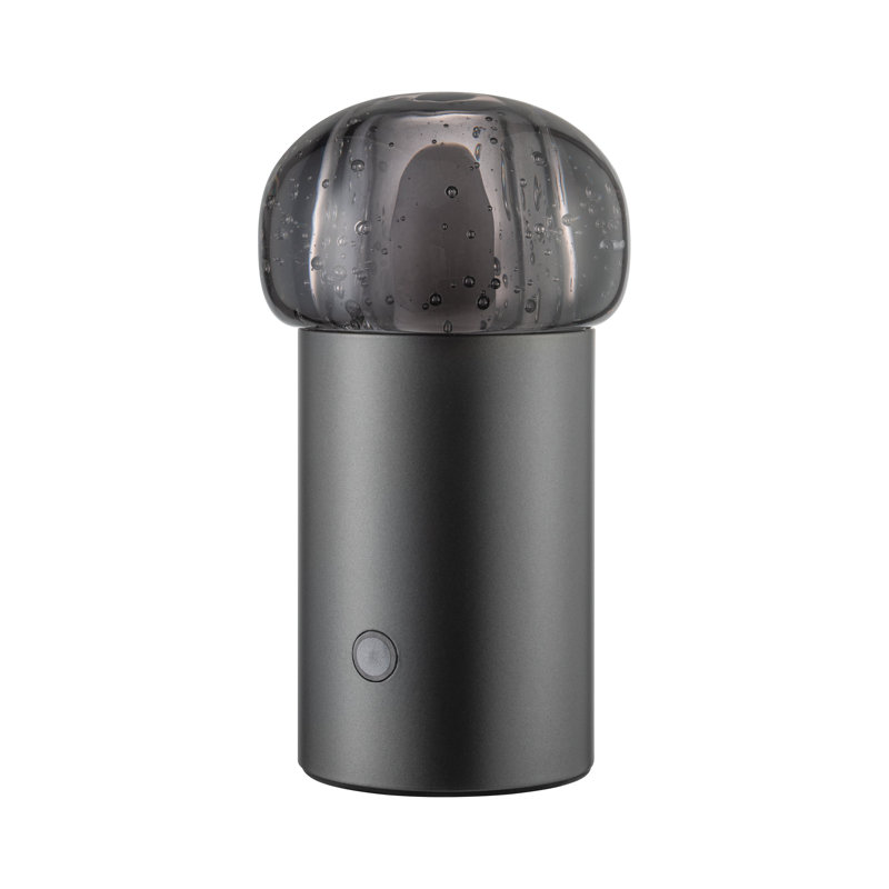 IRIS Metal Globe Lamp, Gunmetal Gray