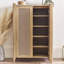 Alefiyah Rectangle Accent Accent Chest