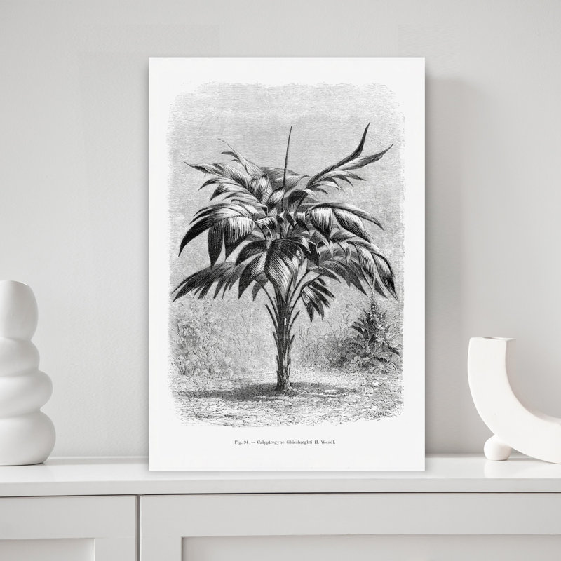 Dessin de palmier rétro rétro rétro, H 18 po x l 12 po