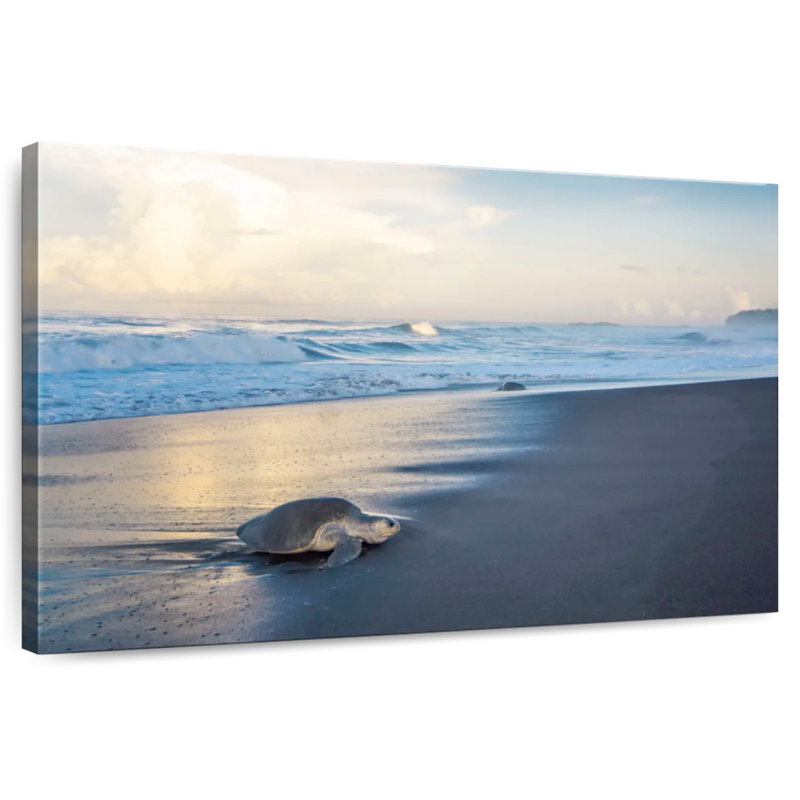 Brampt Turtles From The Sea, 32" H x 48" W