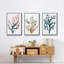 Sea Coral I, impression sur toile 3 pièces-91887645-91887644
