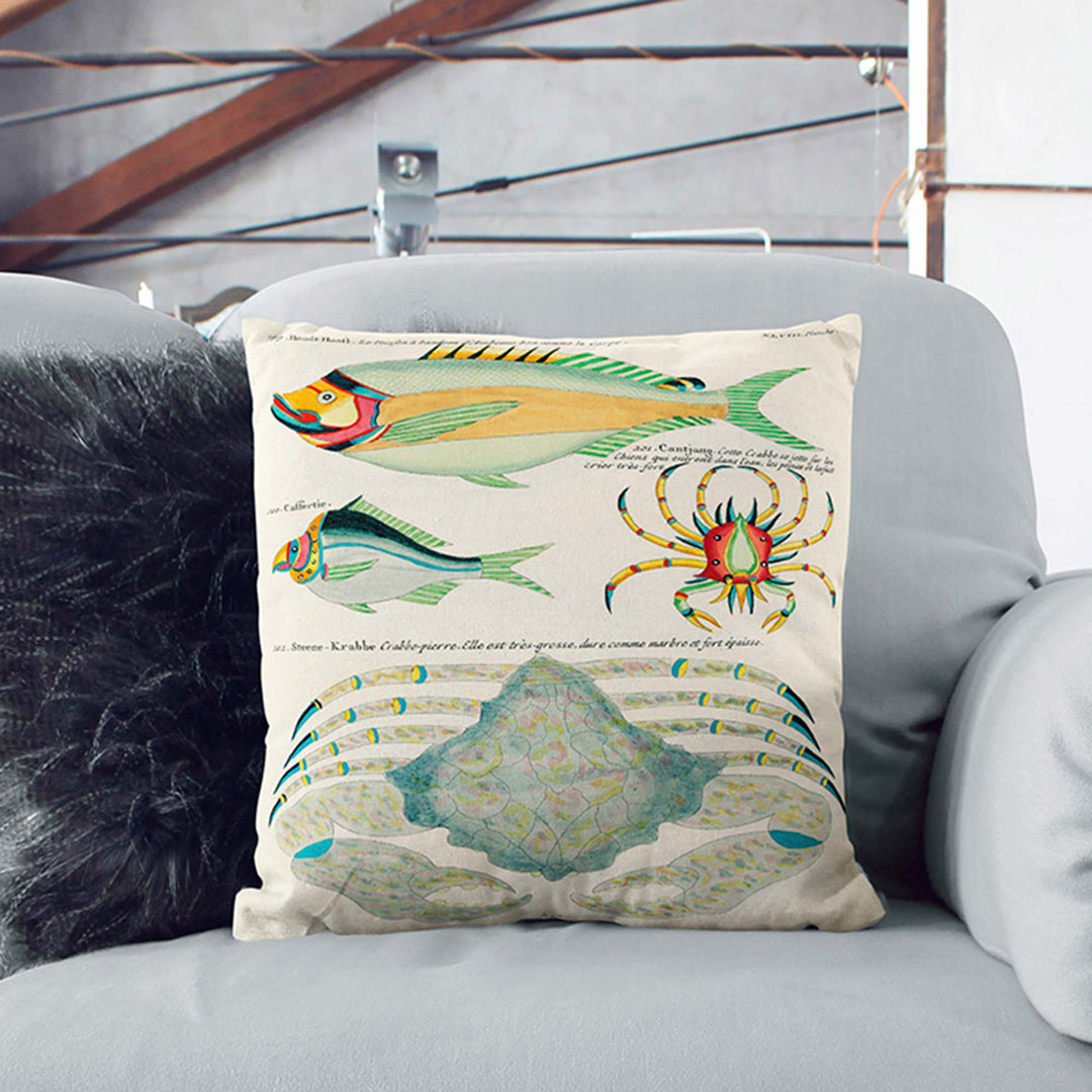 East Indies Fish & Crab Illustrations XLVIII by Louis Renard Cushion with Filling