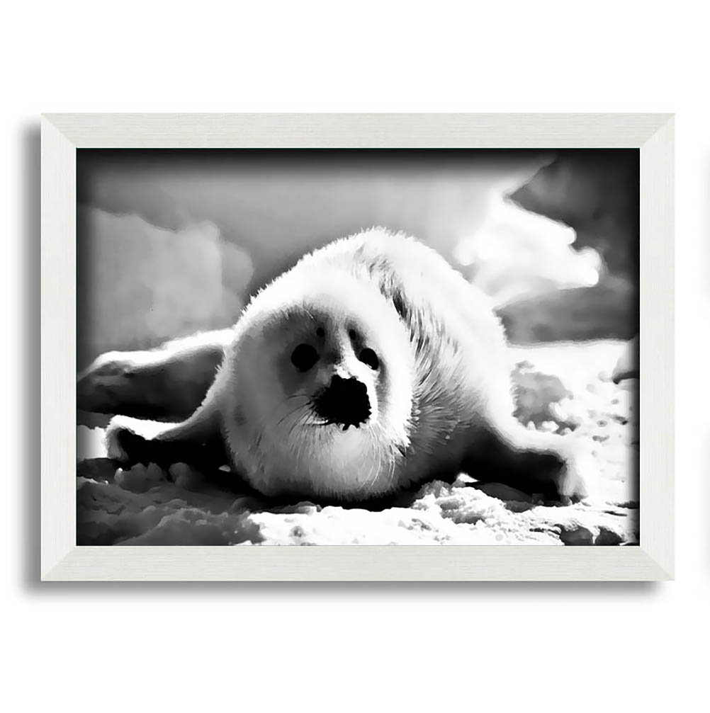 Gerahmtes Poster Seal Pup