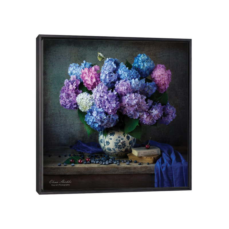 Hydrangea - reproduction d'art murale - toile encadrée, Noir patiné, H 26 po x l 26 po
