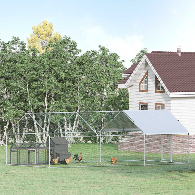 Darquise Chicken Run, 6.4" H x 10" W x 19.7" D