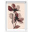Crimson Coastline I Shadowbox Abstract Print by Oliver Gal, Black Frame, 10 x 15-634256553-634256558