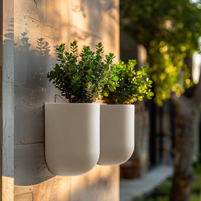 Elayna Venus 2 - Piece Plastic Wall Planter Set, Matte White