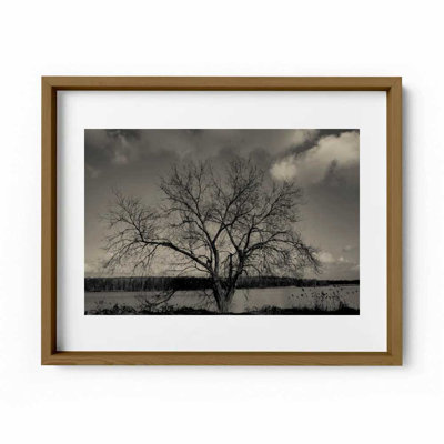Baum Im Winter Print by Joseph Regan