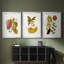 Exotic Botanicals I - Impression personnalisée de qualité supérieure avec cadre mat - 3 pièces-724752515-724752514