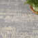 Machine Woven Chenille Indoor/Outdoor Area Rug in Gray