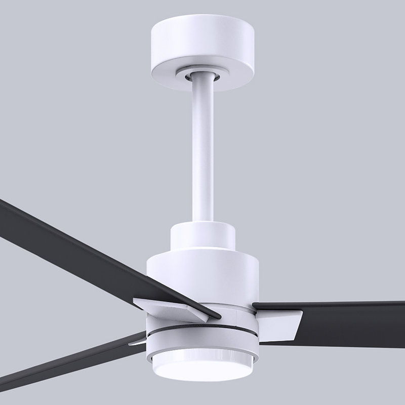 Alessandra - Three Blade Transitional Ceiling Fan -LED, Matte White, 56", Matte Black