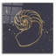 «Gold Nautilus II» par Chris Paschke-1104815986