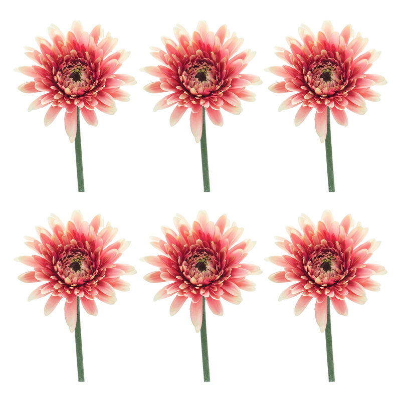 Gerbera Daisy Floral Stem (ensemble de 6), Rose