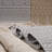 Loom & White Geometric Area Rug 2x8, Stain Non-shedding, For Living Room Entryway, Easy Maintenance, Pet 2x8 Geometric, Stain- High-traffic Areas, , And Pet-