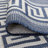Seraphine Machine Woven Indoor and Outdoor Area Rug-2116845763