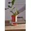 Pot avec soucoupe Rowen 5 po x 5,25 po-1903171210
