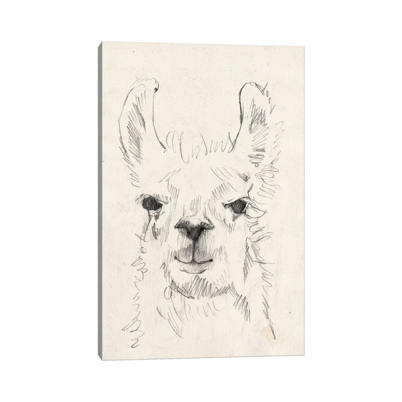 Llama Portrait I by Jennifer Goldberger - Wrapped Canvas Painting, 20.32 cm H x 30.48 cm W