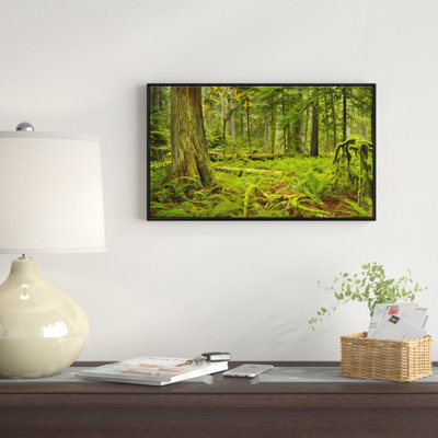 «Lush Rainforest in Cathedral Grove», reproduction de photo sur toile