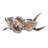 Wall Decor on Metal