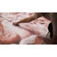 Annysa 2.5m x 2.5m Matte Mural-1137831282