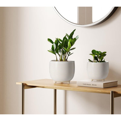 Ceramic Pot Planter