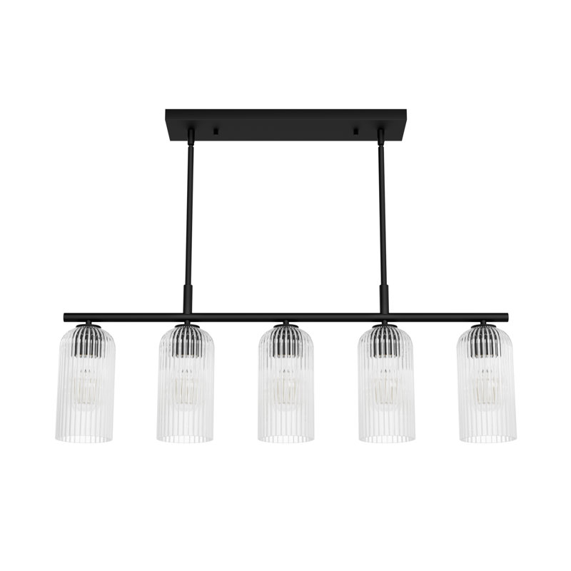 Hunter x Jasmine Roth Beverly Glen 5 Light Chandelier Ceiling Light Fixture, Clear, Matte Black