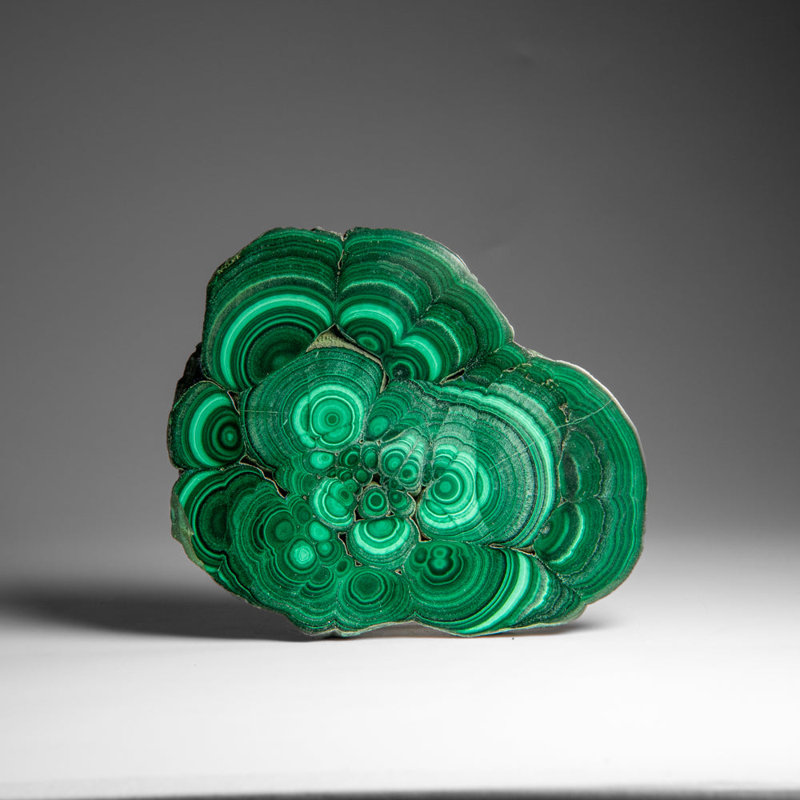 Genuine Polished Malachite Stalactite Slice (450 Grams)